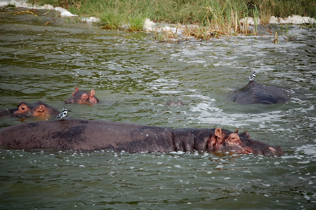 lake_ihema