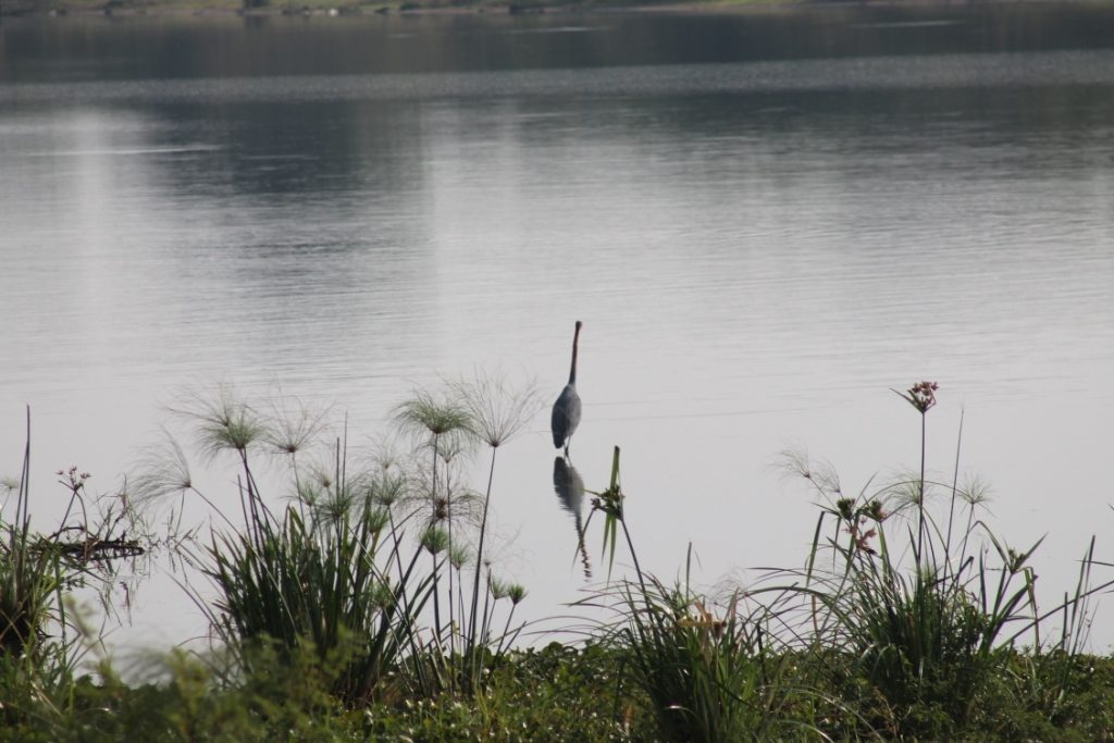 lake_shakani_rwanda