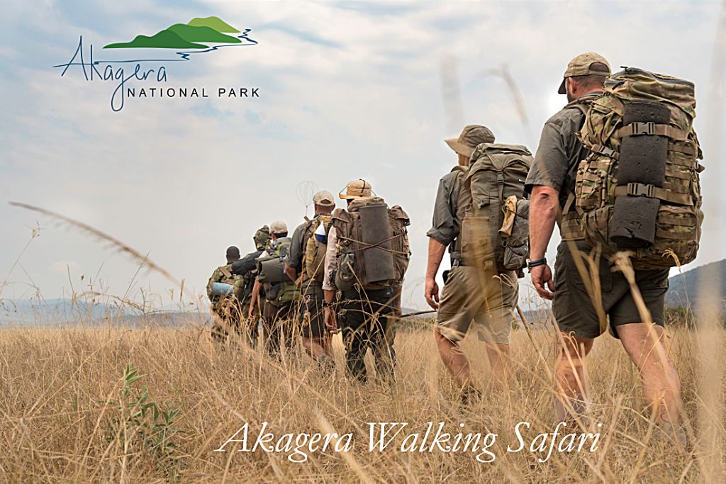 Akagera Walking Safari