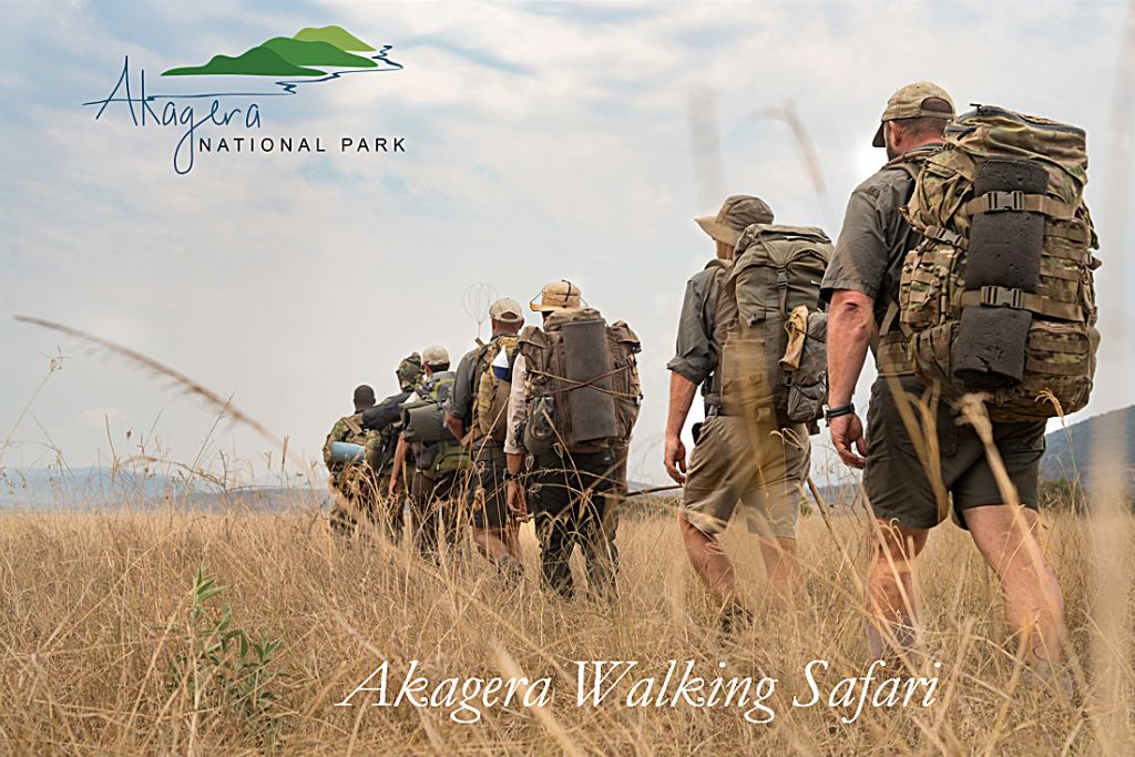 3 Nights Walking Safari In Akagera National Park