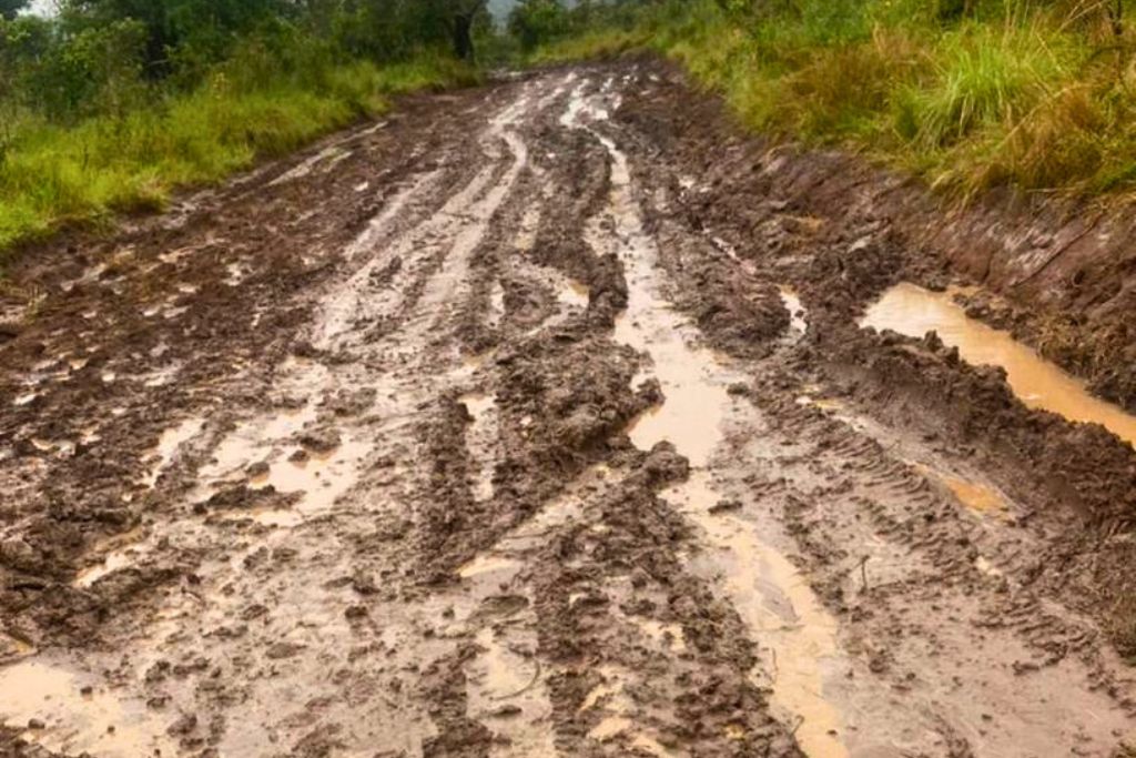 Roads In Akagera National Park