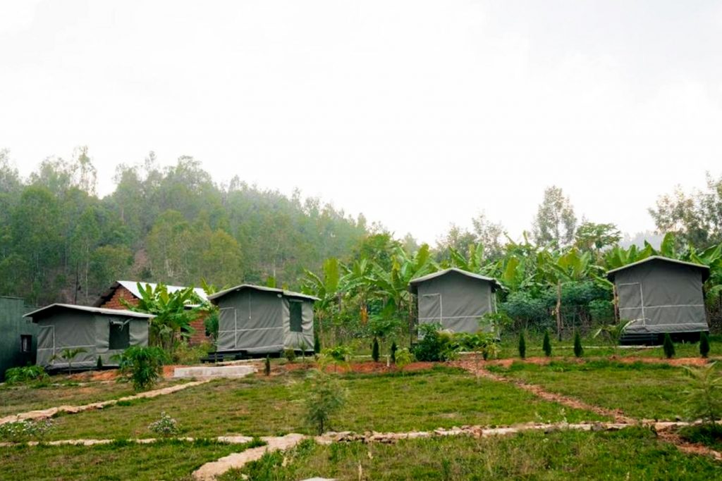 akagera-bananas-camp